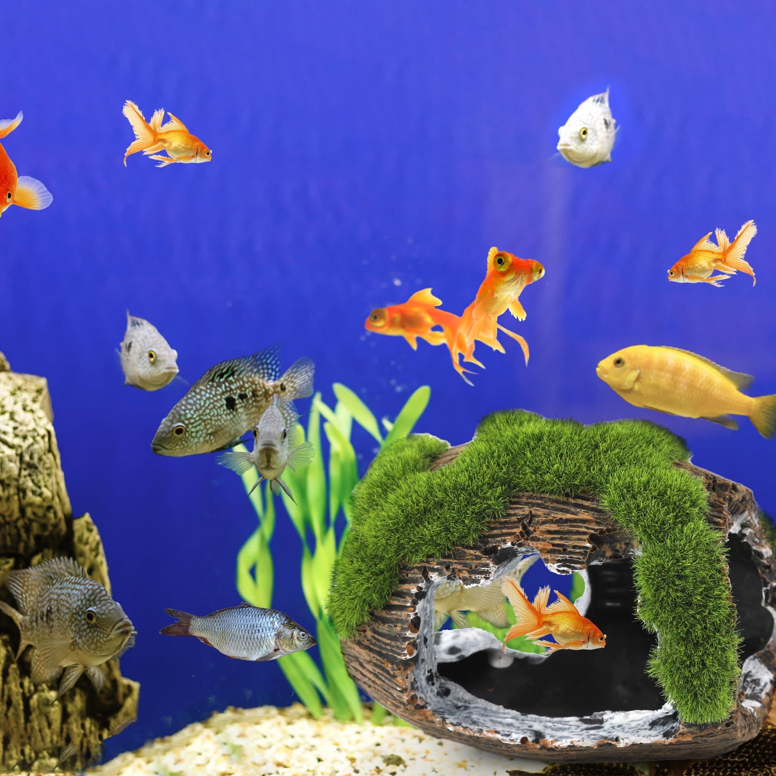 Fish Tank Accessories Decorations Resin Betta Fish Hideout Cave for Fish Tank Ornaments for Small Animal Play Rest Hide Breed