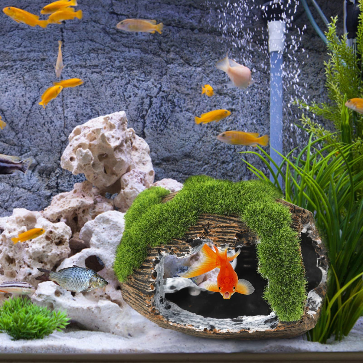 Fish Tank Accessories Decorations Resin Betta Fish Hideout Cave for Fish Tank Ornaments for Small Animal Play Rest Hide Breed