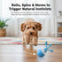 Chase Buddy Dog Toy, Interactive Motion Activated Rolling Dog Ball, Automatic Moving Dogs Toy for Boredom Stimulating,  Upgraded USB Rechargeable Self Play Ball