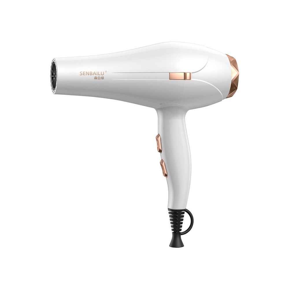 High-Power Hair Dryer For Home Use, With Blue Light Technology, Salon-Quality Blow Dryer With Hot And Cold Settings
