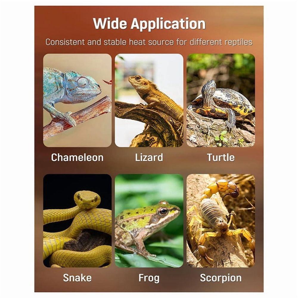 5W Reptile Heat Pad with Digital Thermostat & Timer 7 X 5Inch Reptile Heating Pad Tank Heater Terrarium Heat Mat US Plug