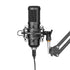 USB Microphone 24Bit/192KHZ Gaming PC Metal Mic Boom Arm Plug & Play,Shock Mount Kit Recording,Gaming,Podcast,Online Chat,Streaming,Home Studio,YouTube,Computer Mic for PS4/5 PC Gamer