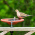 Solar Bird Bath Fountain Pump, Solar Fountain Pump for Bird Bath with 6 Nozzles, 6.5" Solar Powered Water Fountain Pump