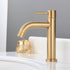 Solid Brass Single Handle Circular Faucet for Bathroom Sink | High Arc Faucet spout (Brushed Gold)
Drain and Supply Line