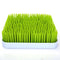 Lawn Countertop Baby Bottle Drying Rack - Green - Bottle Rack and Organizer - Baby Feeding Essentials