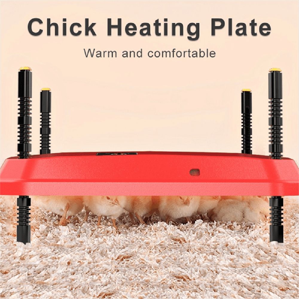 Electric Chick Brooder Heating Plate Adjustable Height Chick Cage Heater Chicken Warmer US Plug
