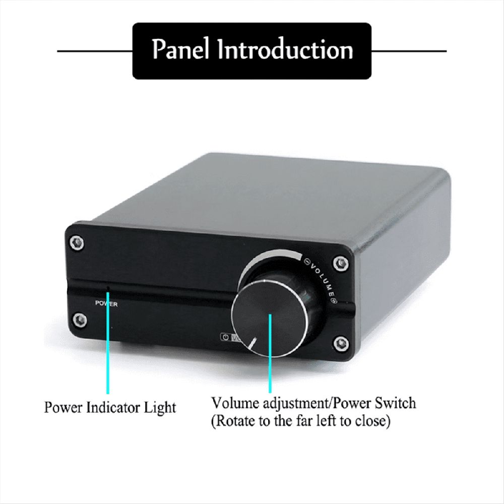 100W D100 TPA3116 Digital Power Amplifier Single Sound Channel Class D Desktop Subwoofer for Home Audio Stereo System