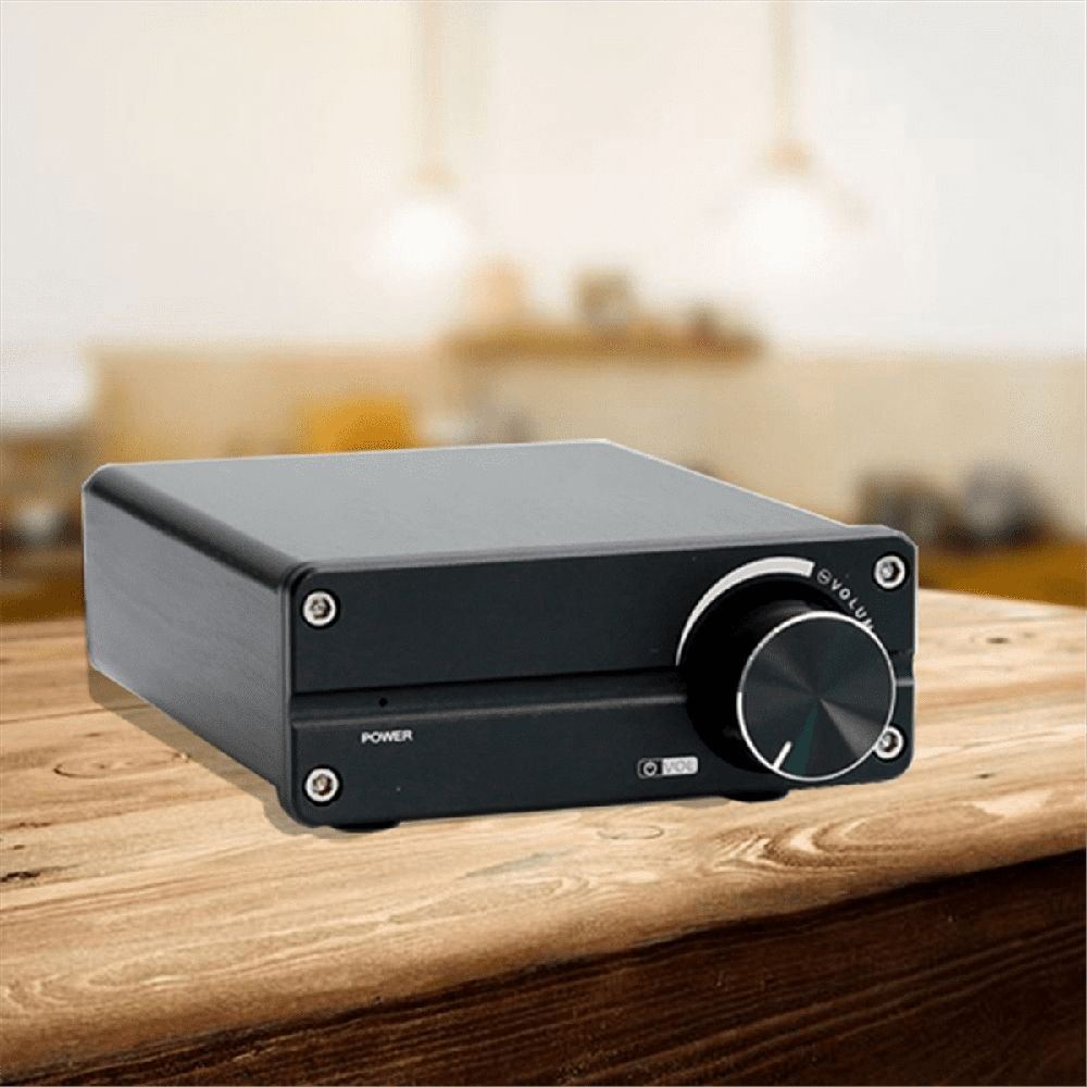 100W D100 TPA3116 Digital Power Amplifier Single Sound Channel Class D Desktop Subwoofer for Home Audio Stereo System