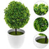 Set of 2 Realistic Artificial Topiary Trees, Decorative Table Plants for Farmhouse, Bathroom, Office, and Table Centerpiece