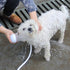 Pet Shower Spray Hose Bath Tub Sink Faucet Attachment Washing Sprinkler Head Kit U6S4