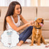 Purple Purple Pet Hair Dryer With Spray Comb For Drying Grooming 2 In 1 Bathing Tool For Dogs Cats