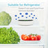 Mini Ozone Anion Purifier: 3 Modes Deodorize & Sterilize, 20dB Quiet, Compact & Portable, Multi-Scene Use.(white)
