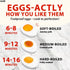 Multifunctional Stainless Steel Egg Cooker, 6-Egg Capacity, with Timer