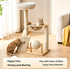 Rubber Wood & Acrylic Cat Tree (Standard)