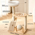 Rubber Wood & Acrylic Cat Tree (Standard)