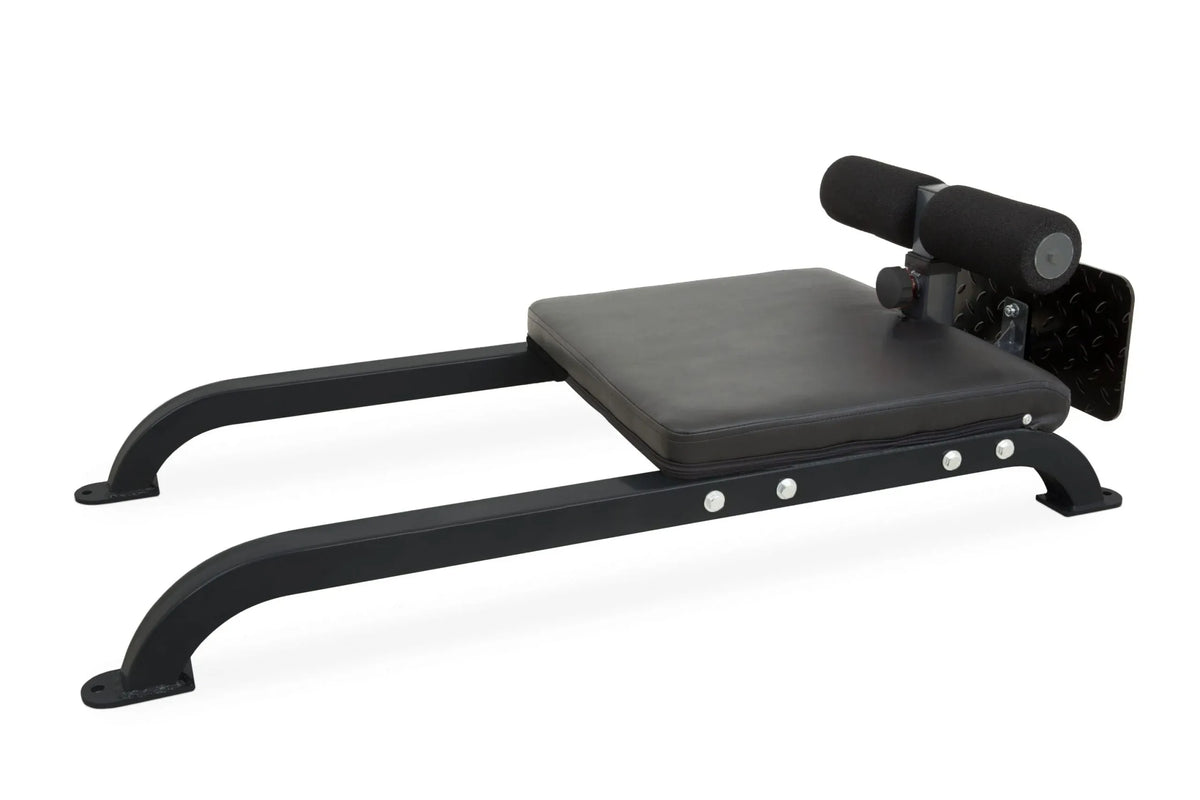 Floor Glute Ham Developer GHD Nordic Hamstring Curl Bar Home Gym Steel Anchor