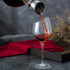 CARLA HOME Iceberg Wine Decanter with Aerator Filter and Lid