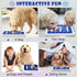 Interactive Dog Puzzle Toy Slow Feeder Treat Dispenser for Dogs & Cats