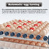128 Egg Incubator with Automatic Turning, LED Display, Humidity & Temperature Control, Auto Water System & Built-in Egg Candler for Chicken, Duck, Quail, Goose