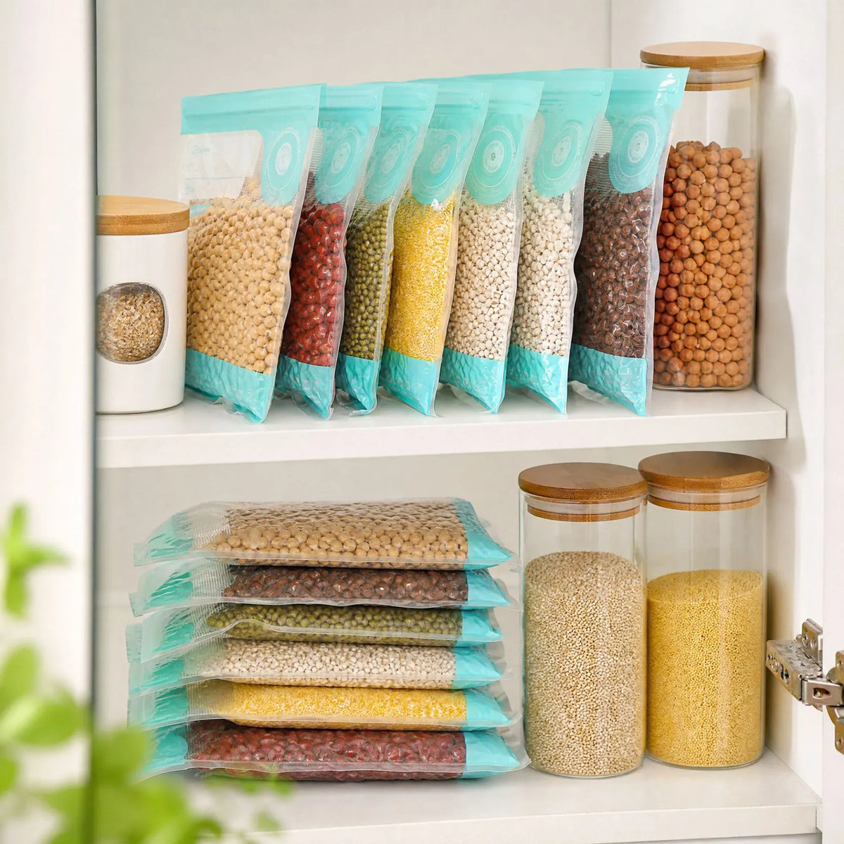 CARLA HOME Handheld Vacuum Sealer Kit with 10 Reusable Bags, Food Saver, White