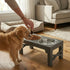 Raised Dog Bowl Stand - 4 - Height Adjustable - Black - Pet Feeder - Metal
