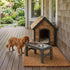 Raised Dog Bowl Stand - 4 - Height Adjustable - Black - Pet Feeder - Metal