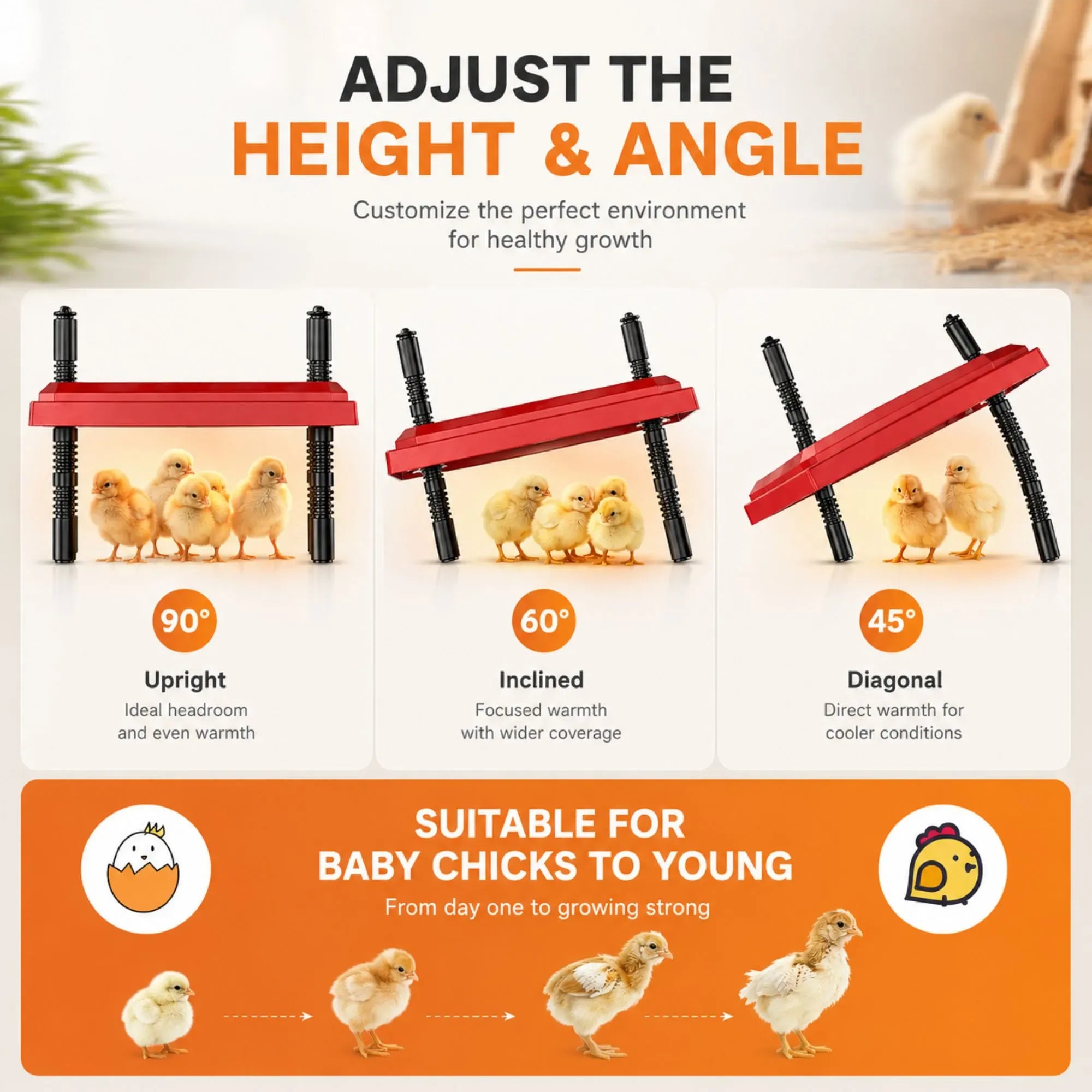 Chick Brooder Heating Plate - Adjustable Height - Red - Chicken Heater