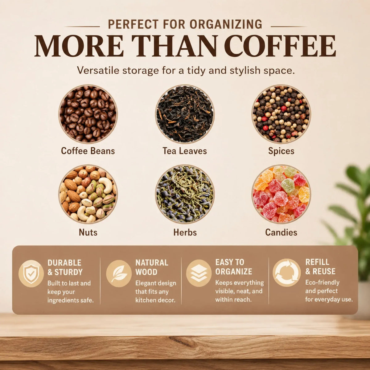 Glass Coffee Bean Storage Tubes, 12 Pack Wooden Stand (60ml 20g)