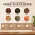 Glass Coffee Bean Storage Tubes, 12 Pack Wooden Stand (60ml 20g)