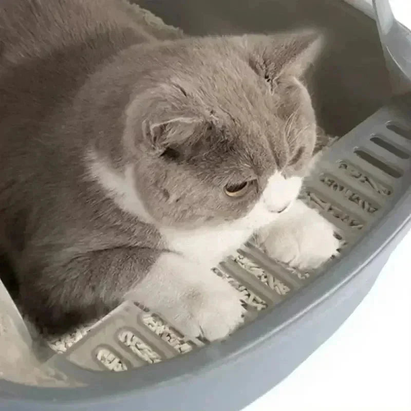 High Side Cat Litter Box with Scoop