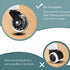 3 Swivel Rollerblade Chair Wheels, 7/16 Stem, All Floors - 5 Pack