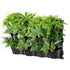 Tri vertical garden with 4 frames and 12 pots