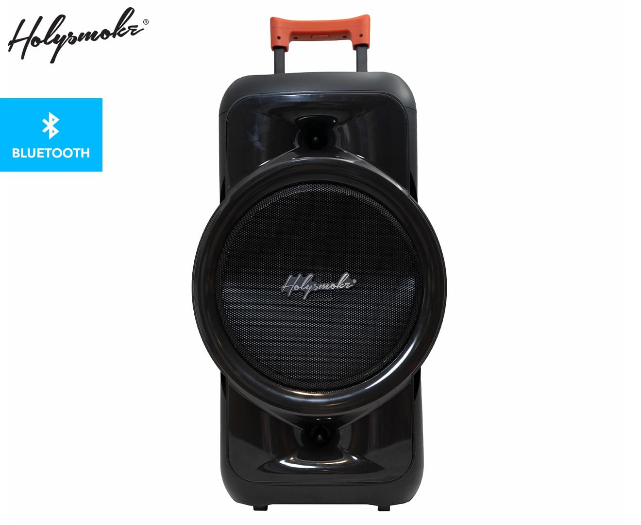 Holysmoke Raphe Bluetooth TWS Party Speaker 12