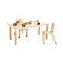 Jooyes Kids Birch Activity and Sensory Tables