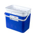 33L Portable Cooler Box Ice Chest for Picnic, Camping, Fishing, Caravan