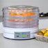 Food dehydrator with fruits on a kitchen counter