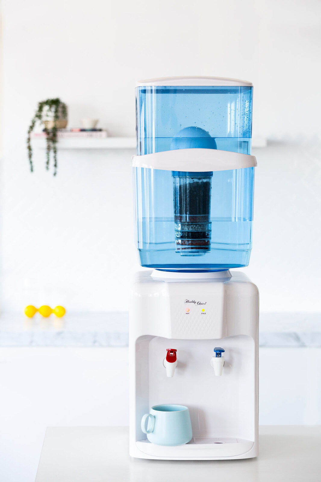 Water Cooler, Hot Water Dispenser with Activated Carbon Filtration