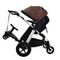 2-in-1 Stroller Board with Seat Universal Kids Glider Board Black Wheels