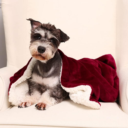 Double-side Flannel Heated Electric Throw Blanket Fast Heating Warm Washable red