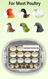 Automatic Egg Incubator 16-30 Eggs Chicken Duck Poultry Hatcher Breeder Candler