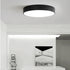 30CM LED Ceiling Light Modern Surface Mount Flush Panel Downlight Ultra-thin
