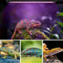 30cm Adjustable Reptile 5.0UVA UVB Lamps LED Light for Reptile Tanks Pet Lighting System