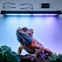 40cm Adjustable Reptile 5.0UVA UVB Lamps LED Light for Reptile Tanks Pet Lighting System