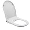 Non Electric Bidet Toilet Seat D Cover Bathroom Dual Nozzle Spray Water Wash