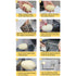 Potato Twister Tornado Slicer Cutter Stainless Steel Vegetable Spiral Machine
