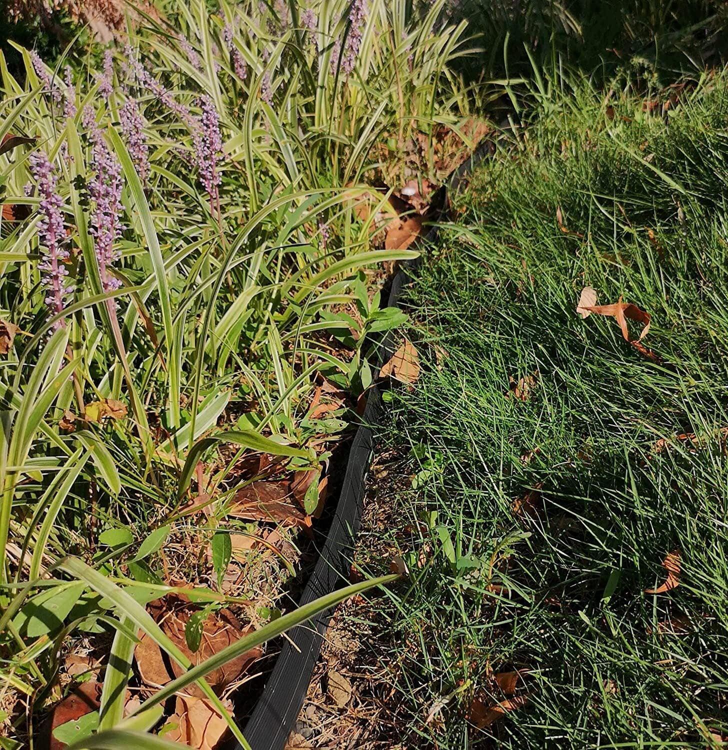 10M Fence Landscape Garden Lawn Edging Border Flexible Plant Grass Barrier