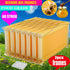 Neweast 7Pcs Flow Bee Comb Hive Frames For Wooden Beekeeping Beehive House