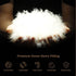 Goose Feather Down Quilt 700 GSM Duvet DoonasQueen:210x210cm