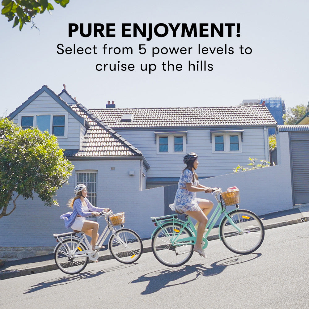 Laneway 5 Vintage Electric Bike, Torque Sensor equipped eBike, Medium, Mint Green