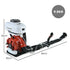 Backpack 2-Stroke Petrol Powered Chemical Sprayer Fogger Mister Blower